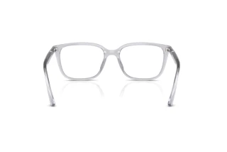 Vue arrière Ray-Ban RX7248D (8411)