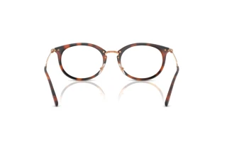 Vue arrière Ray-Ban RX7255 (5687)