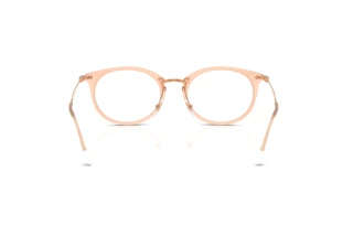 Vue arrière Ray-Ban RX7255 (8124)