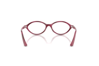 Vue arrière Ray-Ban RX7265 (8492)