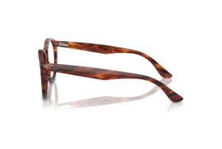 Vue latérale Ray-Ban LARRY (RX7680V - 2144)