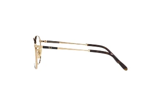 Vue latérale Ray-Ban ROUND TITANIUM (RX8237V - 1220)