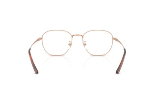 Vue arrière Ray-Ban RX8777D (1245)