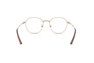 Vue arrière Ray-Ban RX8778D (1245)