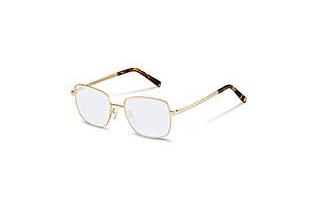 Rocco by Rodenstock RR220 D gold, havana