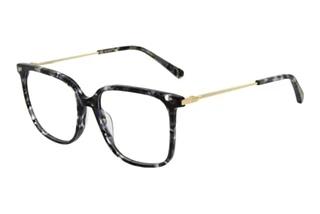Scotch and Soda 503012 010 Schwarz