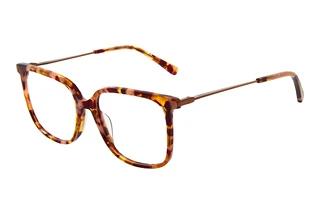 Scotch and Soda 503012 371 Braun