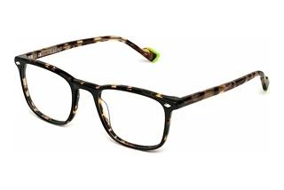 Sting VST524 0U64 SHINY BLACK TOP+HAVANA