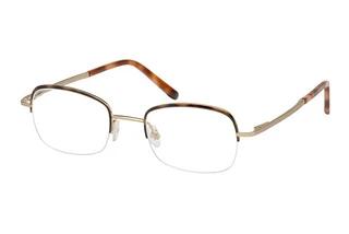 Strenesse 4217 100 havana on gold