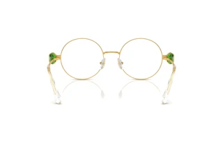 Vue arrière Swarovski SK1001 (4004)