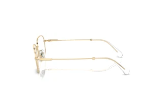 Vue latérale Swarovski SK1005 (4013)