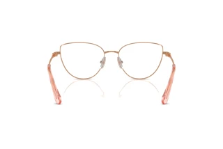 Vue arrière Swarovski SK1007 (4014)