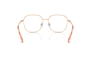 Vue arrière Swarovski SK1009D (4014)