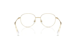 Vue arrière Swarovski SK1016D (4013)