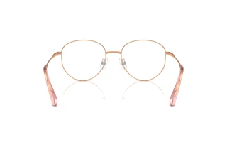 Vue arrière Swarovski SK1016D (4014)