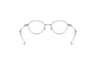 Vue arrière Swarovski SK1028TD (4014)