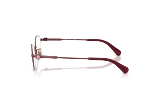 Vue latérale Swarovski SK1028TD (4040)