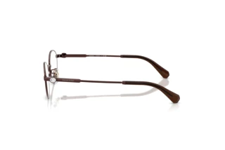 Vue latérale Swarovski SK1028TD (4041)