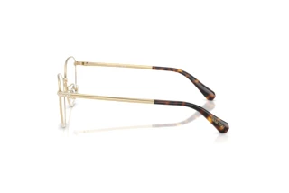 Vue latérale Swarovski SK1029D (4013)