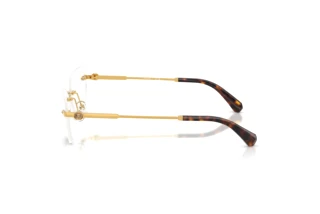 Vue latérale Swarovski SK1031 (4007)