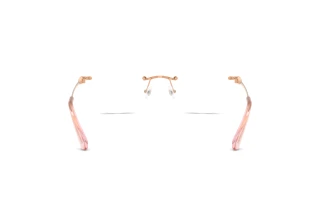 Vue arrière Swarovski SK1038 (4014)