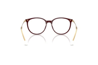 Vue arrière Swarovski SK2009 (1008)