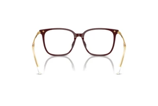 Vue arrière Swarovski SK2016D (1008)