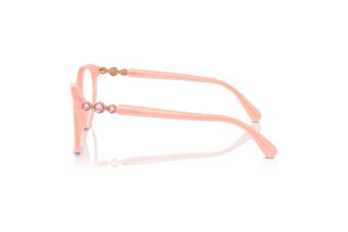 Vue latérale Swarovski SK2019 (1041)