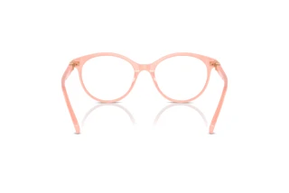 Vue arrière Swarovski SK2019 (1041)