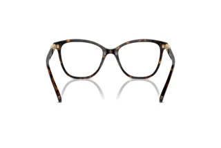 Vue arrière Swarovski SK2020 (1002)