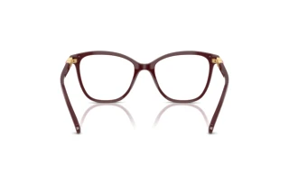 Vue arrière Swarovski SK2020 (1008)