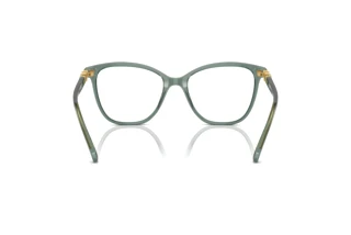 Vue arrière Swarovski SK2020 (1043)