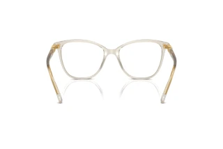 Vue arrière Swarovski SK2020 (3003)