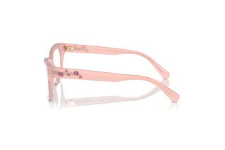 Vue latérale Swarovski SK2022 (1031)