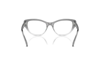 Vue arrière Swarovski SK2023 (1046)