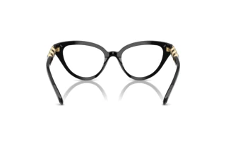 Vue arrière Swarovski SK2028 (1001)