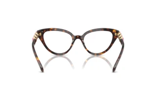 Vue arrière Swarovski SK2028 (1002)