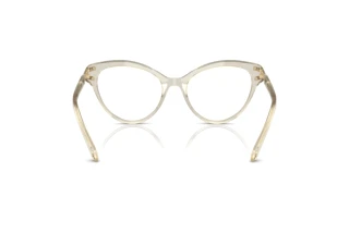 Vue arrière Swarovski SK2030 (3003)