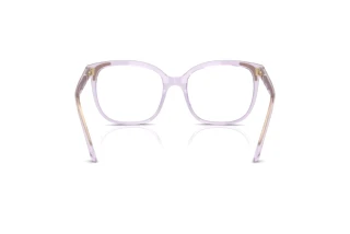 Vue arrière Swarovski SK2033 (1079)