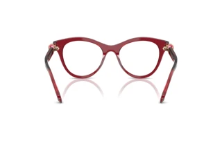 Vue arrière Swarovski SK2036 (1055)