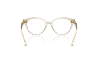 Vue arrière Swarovski SK2037 (3003)