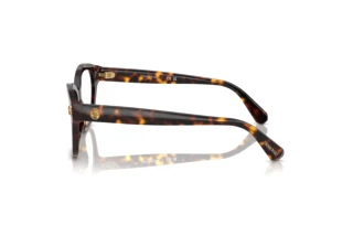 Vue latérale Swarovski SK2038 (1002)