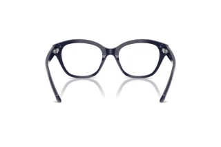 Vue arrière Swarovski SK2038 (1004)