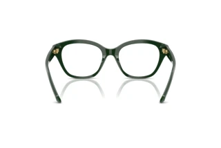 Vue arrière Swarovski SK2038 (1026)