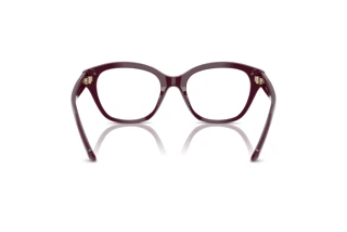 Vue arrière Swarovski SK2038 (1044)