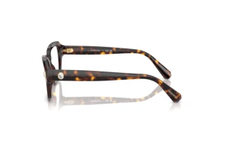 Vue latérale Swarovski SK2039 (1002)