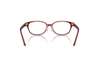 Vue arrière Swarovski SK2040D (1055)