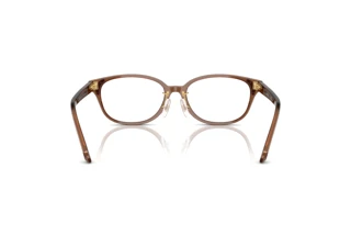 Vue arrière Swarovski SK2040D (1067)