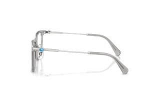 Vue latérale Swarovski SK2041D (1069)