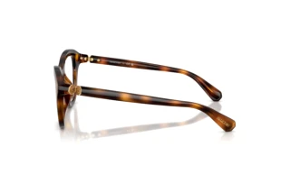 Vue latérale Swarovski SK2042U (1002)